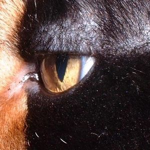 Profile Picture of Lucy Bonner (@mynumber8675309) on Myspace