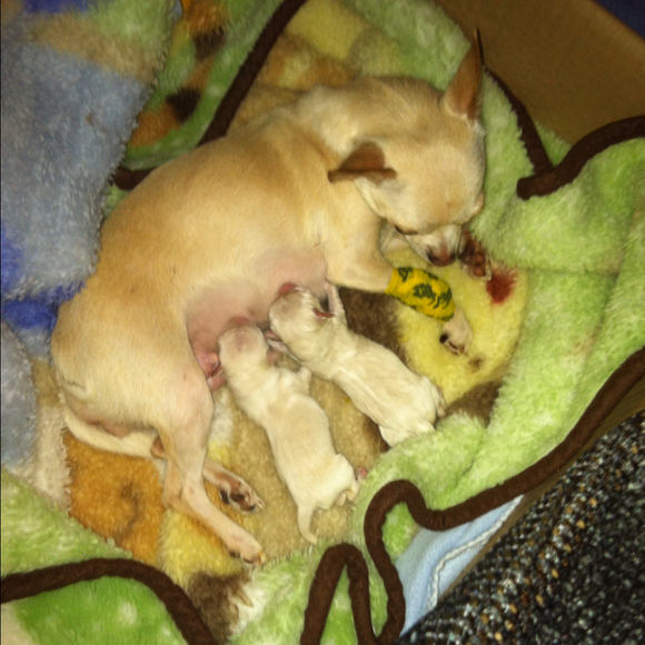 Profile Picture of Laida Every (@laida626) on Poshmark