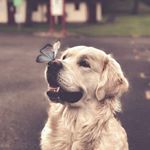 Profile Picture of Ralph Vitales (@ralphh1024.ph) on Instagram