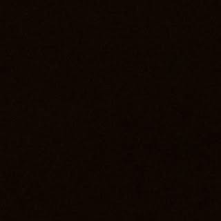 Profile Picture of Kim Phan (@averagecabbage.mp3) on Instagram