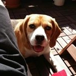 Jan Schmidt - Instagram Profile Picture of Jan Schmidt (@mann3.max) on Instagram