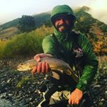 Profile Picture of Paul Torrez (@paultibet) on Instagram