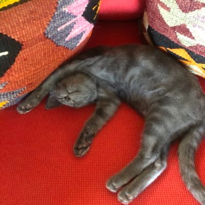 Judd Jones - Twitter Profile Picture of Judd Jones (@juddjones9) on Twitter