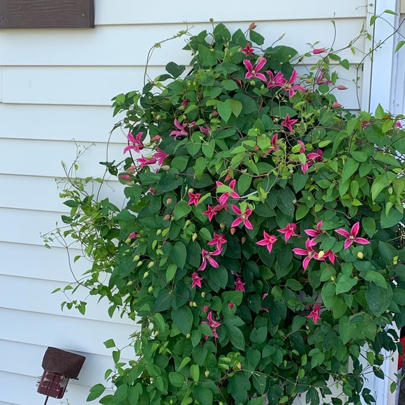 Profile Picture of Michelle Giese (@stylebydesign93) on Poshmark