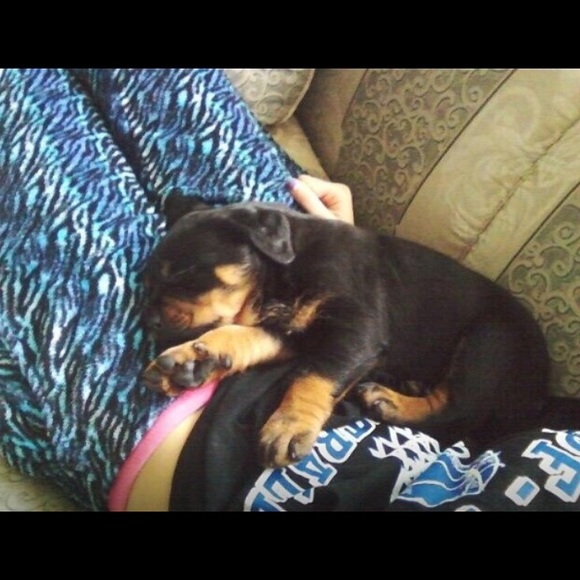 Profile Picture of Brianna Willmott (@03bri) on Poshmark