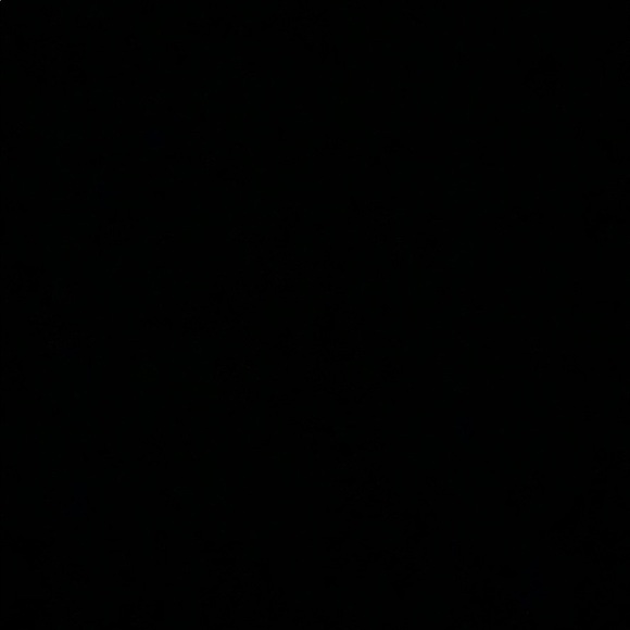 Profile Picture of Gracelyn Wilflingsider (@g_wilflingsider) on Poshmark