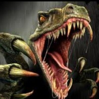 Profile Picture of Dominic Ranieri (@RanieriDominic) on Twitter