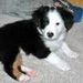 Profile Picture of Tony Messinger (@messinger1517) on Pinterest