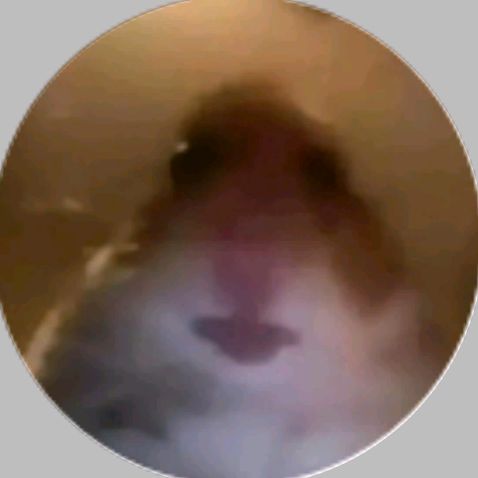 Profile Picture of noell Busch (@noellbusch) on Tiktok