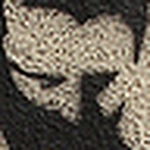 Profile Picture of Nicolas Lopez Irribarra (@nico.sli) on Flickr