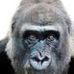 Profile Picture of Randall Jarreau (@randall.jarreau) on Facebook