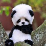 Profile Picture of Gretchen Ferguson (@greygrey_panda) on Instagram