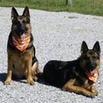 Profile Picture of Connie Riggs (@bmwz3mom) on Instagram