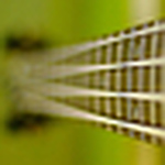 Profile Picture of Yi Liu (@yrfoto) on Flickr