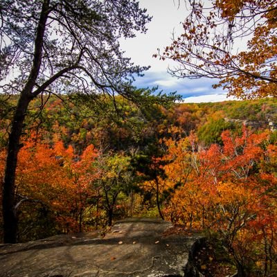 Profile Picture of Bryan Presnal (@@BrianPresnal) on Twitter