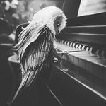 Profile Picture of соня cet (@alisa.ruty) on Instagram