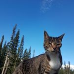 Profile Picture of Kevin Wanamaker (@heavenlywanamaker) on Instagram