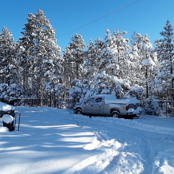 Profile Picture of M Parker (@misskadee) on Poshmark