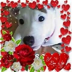 Allison Edgeworth - Tiktok Profile Picture of Allison Edgeworth (@allison.edgeworth) on Tiktok