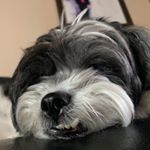 Profile Picture of 김동원 (@kim_tuna_) on Instagram