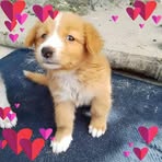 Profile Picture of Joseph Lamera (@Joseph-Lamera) on Facebook