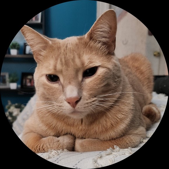 Profile Picture of Joanne Conklin (@jconklin618) on Poshmark