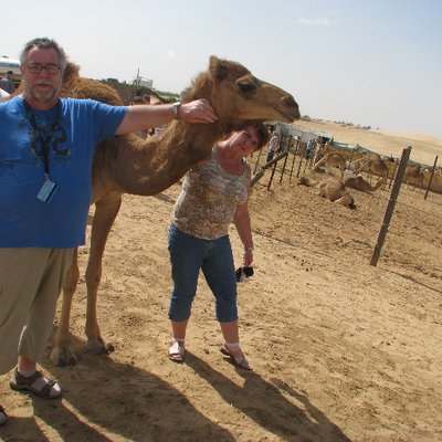 Profile Picture of Alexander Menzel (@h_menzel) on Twitter