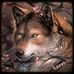 Profile Picture of Kerri Callies (@Kerri-Callies) on Facebook