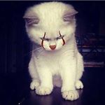 Profile Picture of Marco Antonio Obando (@marco._.antonio12) on Instagram