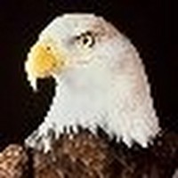 Profile Picture of Kenneth Brent (@kenneth-brent) on Quora