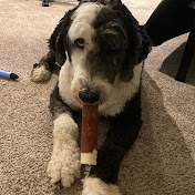 Profile Picture of Scott Gassen (@scottgassen8195) on Youtube