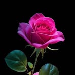 Profile Picture of Geeta Shukla (@geeta.shukla.7967747) on Facebook