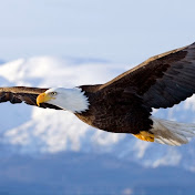 Profile Picture of Gary Gustafson (@garygustafson176) on Youtube