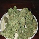 Profile Picture of markjohney (@edward.mccarthy.1422) on Instagram