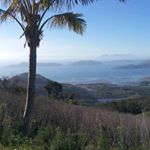 Profile Picture of David N Carina Bulsey (@davidncarina) on Instagram