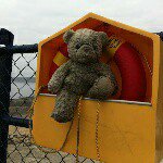 Adam Fogarty - Instagram Profile Picture of Adam Fogarty (@adamfoggg) on Instagram