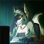 Profile Picture of Bennie Bean Wolfie (@wolfiebean56) on Instagram