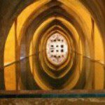 Profile Picture of Mark Oberley (@buckjunkey_ob1) on Instagram