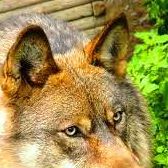 Profile Picture of Tom Aurum (@tom.aurum) on Facebook