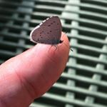 Profile Picture of André Oldenburg (@oldenburg_andre) on Instagram