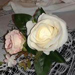 Profile Picture of Lourdes irma barron agurre (@lourdesirmabarronagurre) on Instagram