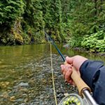 Profile Picture of cody phan (@flyfisherphan) on Instagram