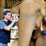 Profile Picture of Dr. Travis Strong DVM MS DACVO (@vegan_veterinarian) on Instagram