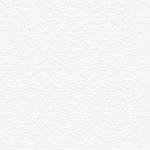 Profile Picture of Randy Calderon (AA) (@randy_calderon_) on Instagram