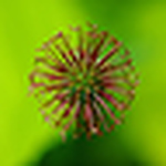 Profile Picture of Dave Gilbert Uk (@dave gilbert uk) on Flickr