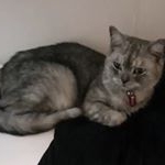 Profile Picture of 杜維敏 (@weimin_du) on Instagram