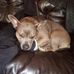 Profile Picture of Stacy Grider (@stacy.grider.7549) on Facebook