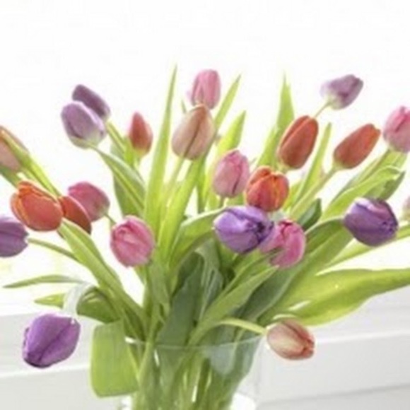 Profile Picture of Bill Bates (@bill_bates) on Poshmark