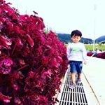 Profile Picture of i am Popoyong ⓚⓔⓝⓚⓔⓝ (@clint_steward) on Instagram