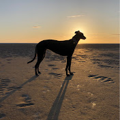 Profile Picture of Peter Bainbridge (@videotreats) on Youtube